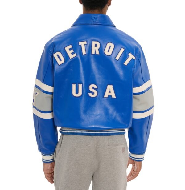 AVIREX LIMITED EDITION CITY SERIES BROOKLYN JACKET IN SKY DIVER